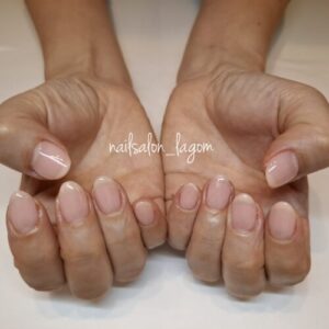 ワンカラー(シャクヤク)