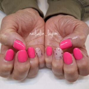 シンプル定額(ホロビジュー)